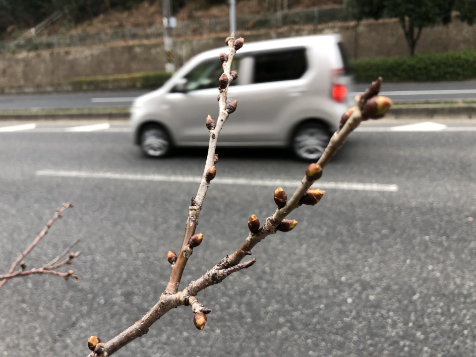 春近し