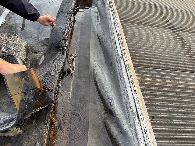 早めの防水チェック